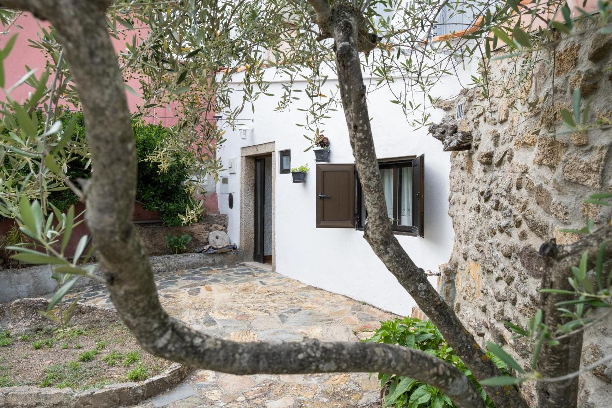 Casa Da Penha Villa Picote Dış mekan fotoğraf